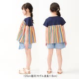 ストライプ切替半袖Tシャツ | こどもの森e-shop | 詳細画像8