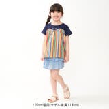 ストライプ切替半袖Tシャツ | こどもの森e-shop | 詳細画像7