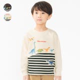 恐竜プリントボーダー切替裏毛トレーナー | こどもの森e-shop | 詳細画像1 
