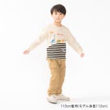 恐竜プリントボーダー切替裏毛トレーナー | こどもの森e-shop | 詳細画像11 