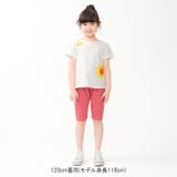 ニットサッカーギンガムチェック柄ハーフパンツ | こどもの森e-shop | 詳細画像15 