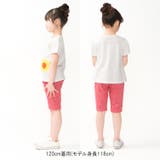 ニットサッカーギンガムチェック柄ハーフパンツ | こどもの森e-shop | 詳細画像16 