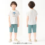 ニットサッカーギンガムチェック柄ハーフパンツ | こどもの森e-shop | 詳細画像19 