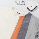 縦切替配色長袖Ｔシャツ・ロンT | こどもの森e-shop | 詳細画像5 