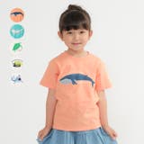 crescent 海の生き物プリント半袖Tシャツ 80cm | こどもの森e-shop | 詳細画像1