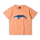 crescent 海の生き物プリント半袖Tシャツ 80cm | こどもの森e-shop | 詳細画像2