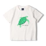 crescent 海の生き物プリント半袖Tシャツ 80cm | こどもの森e-shop | 詳細画像4