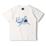 crescent 海の生き物プリント半袖Tシャツ 80cm | こどもの森e-shop | 詳細画像6