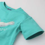 crescent 海の生き物プリント半袖Tシャツ 80cm | こどもの森e-shop | 詳細画像8
