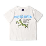 昆虫プリント半袖Tシャツ 80cm～130cm N32814 | こどもの森e-shop | 詳細画像2 