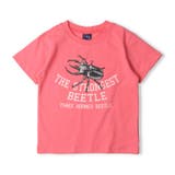 昆虫プリント半袖Tシャツ 80cm～130cm N32814 | こどもの森e-shop | 詳細画像3 