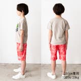 恐竜プリント半袖Tシャツ 80cm～130cm N32817 | こどもの森e-shop | 詳細画像11 