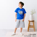 恐竜プリント半袖Ｔシャツ | こどもの森e-shop | 詳細画像9 