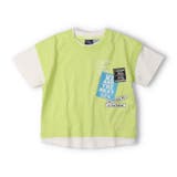グリーン | 配色切替半袖Ｔシャツ | こどもの森e-shop