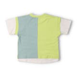 配色切替半袖Ｔシャツ | こどもの森e-shop | 詳細画像3 