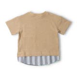裾布帛切替半袖Ｔシャツ | こどもの森e-shop | 詳細画像3 