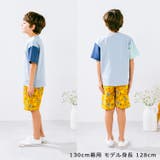 チェッカー・恐竜柄ハーフパンツ | こどもの森e-shop | 詳細画像13