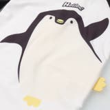 【WEB限定】ペンギン・恐竜水着・帽子セット | こどもの森e-shop | 詳細画像6