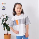 切替Tシャツ | こどもの森e-shop | 詳細画像1