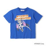 ブルー | 【WEB限定】にゃんこ大戦争/Tシャツ | こどもの森e-shop