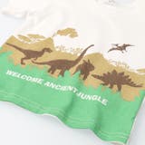 【WEB限定】恐竜デザインTシャツ | こどもの森e-shop | 詳細画像4