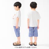 【WEB限定】チェック・ボーダー柄ハーフパンツ | こどもの森e-shop | 詳細画像10