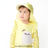 【WEB限定】イルカ・アザラシロンパース水着・帽子セット | こどもの森e-shop | 詳細画像14