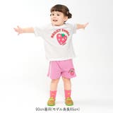 【WEB限定】プリントTシャツ | こどもの森e-shop | 詳細画像7