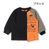 恐竜ロゴプリント配色切替長袖Ｔシャツ | こどもの森e-shop | 詳細画像2 
