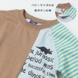 恐竜ロゴプリント配色切替長袖Ｔシャツ | こどもの森e-shop | 詳細画像5 