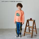 恐竜・働く車プリント長袖Ｔシャツ | こどもの森e-shop | 詳細画像12 