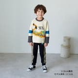 恐竜刺繍切替裾リブ裏毛長パンツ | こどもの森e-shop | 詳細画像11 