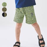 Daddy Oh Daddy | こどもの森e-shop | 詳細画像1