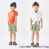 Daddy Oh Daddy | こどもの森e-shop | 詳細画像12