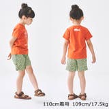 Daddy Oh Daddy | こどもの森e-shop | 詳細画像13