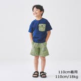 Daddy Oh Daddy | こどもの森e-shop | 詳細画像14