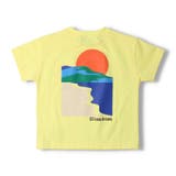 日本製 バックプリント半袖Tシャツ 90cm～130cm V32816 | こどもの森e-shop | 詳細画像5 