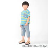 【子供服】Daddy Oh Daddy | こどもの森e-shop | 詳細画像11 