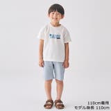 サッカーストライプ5分丈ハーフパンツ 90cm~130cm V33112 | こどもの森e-shop | 詳細画像11