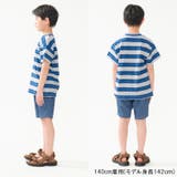 日本製ボーダー半袖Ｔシャツ | こどもの森e-shop | 詳細画像12 