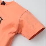 日本製プリント半袖Ｔシャツ | こどもの森e-shop | 詳細画像5 