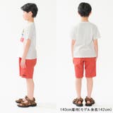 コットンクロス無地5分丈ハーフパンツ | こどもの森e-shop | 詳細画像15