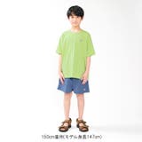 【WEB限定】バックプリントTシャツ | こどもの森e-shop | 詳細画像13