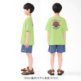 【WEB限定】バックプリントTシャツ | こどもの森e-shop | 詳細画像14
