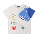 ホワイト | 【WEB限定】ジンベイザメ半袖Tシャツ | こどもの森e-shop