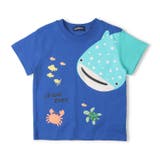 ブルー | 【WEB限定】ジンベイザメ半袖Tシャツ | こどもの森e-shop
