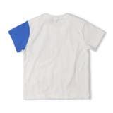 【WEB限定】ジンベイザメ半袖Tシャツ | こどもの森e-shop | 詳細画像2