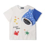 【WEB限定】ジンベイザメ半袖Tシャツ | こどもの森e-shop | 詳細画像3