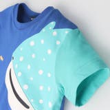 【WEB限定】ジンベイザメ半袖Tシャツ | こどもの森e-shop | 詳細画像4
