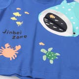 【WEB限定】ジンベイザメ半袖Tシャツ | こどもの森e-shop | 詳細画像6